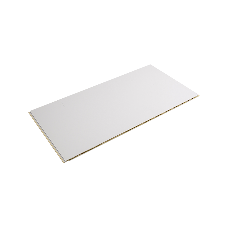 ইনসুলেটিং এনার্জি-সেভিং ইজি-টু-মেইনটেন Wpc কম্পোজিট ওয়াল প্যানেল